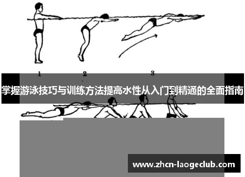 掌握游泳技巧与训练方法提高水性从入门到精通的全面指南