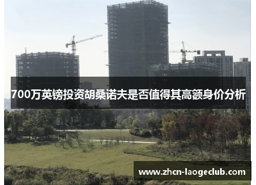 700万英镑投资胡桑诺夫是否值得其高额身价分析