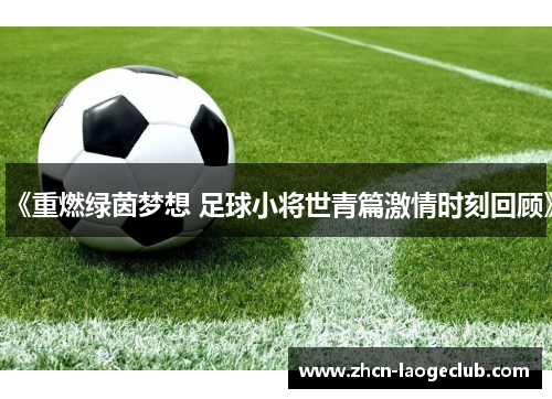 《重燃绿茵梦想 足球小将世青篇激情时刻回顾》