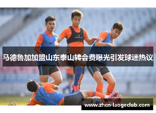 马德鲁加加盟山东泰山转会费曝光引发球迷热议